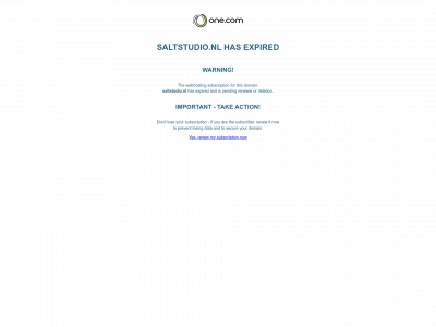 saltstudio.nl snapshot