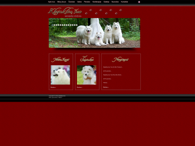 klajokliusuo.lt snapshot