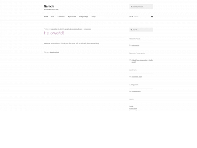 nanichibrand.com snapshot