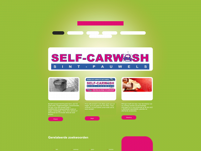 self-carwash.com snapshot