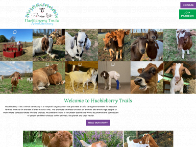 huckleberrytrails.org snapshot
