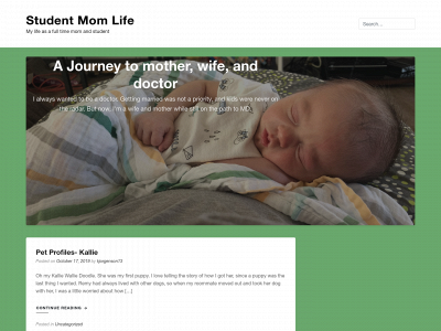 studentmomlife.com snapshot