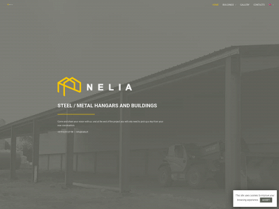 nelia.lt snapshot