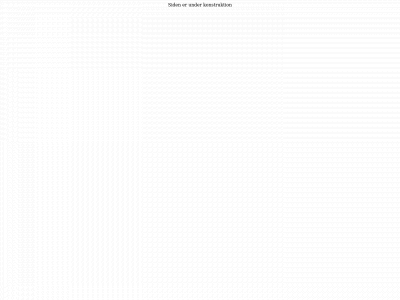 broderi.net snapshot