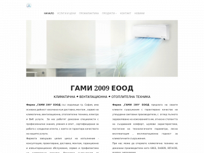 www.gami2009.com snapshot