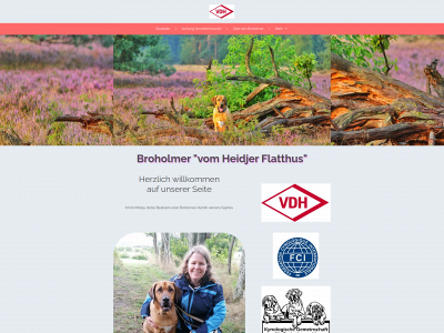 broholmer-heidekreis.de snapshot