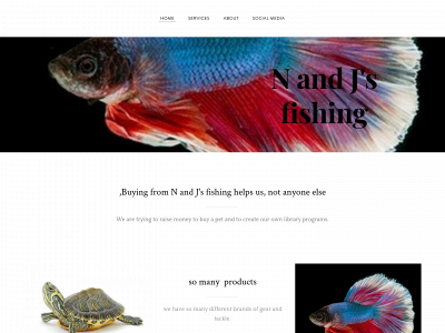 fishingn2.weebly.com snapshot