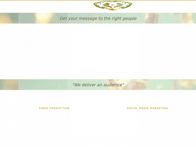 wiselion.ae snapshot