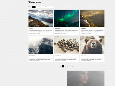 vvintervane.com snapshot