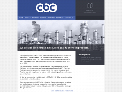ceibridge.com snapshot