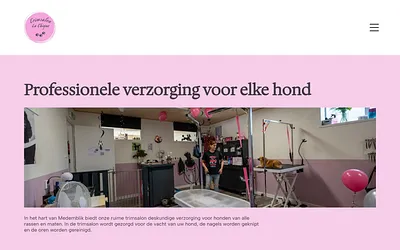 lachiquemedemblik.nl snapshot