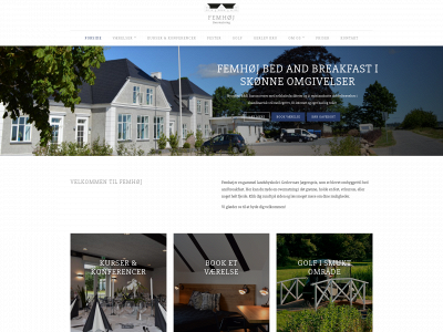 femhoej.com snapshot