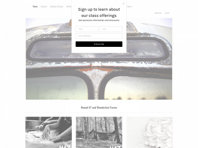 hound47.com snapshot