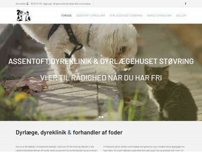 assentoft-dyreklinik.dk snapshot