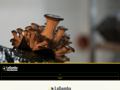 lagomba.com snapshot