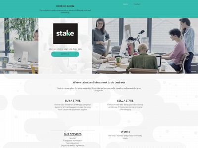 stake.as snapshot