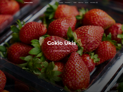 gokioukis.lt snapshot