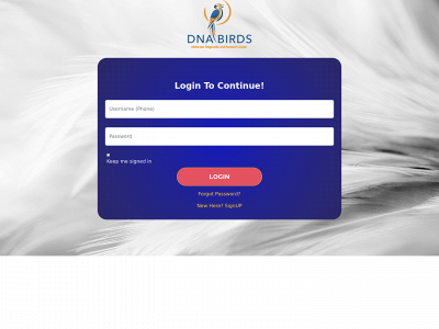 dnabirds.com snapshot
