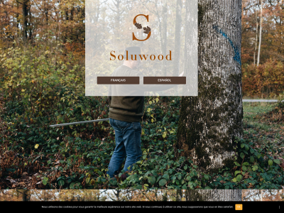 soluwood.co snapshot
