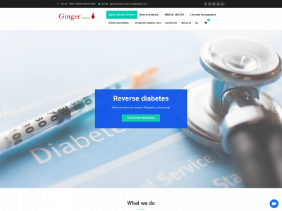 gingermedicareservices.com snapshot