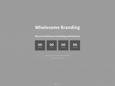wholesomebranding.nl snapshot