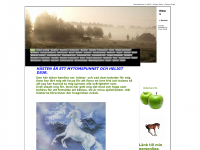 bronzeleaf.com snapshot