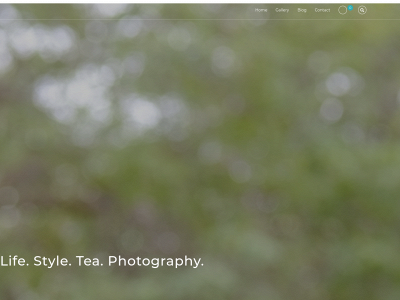 liacouturephotography.com snapshot