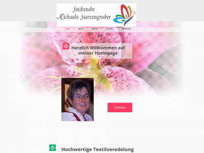 stickstube-starzengruber.at snapshot