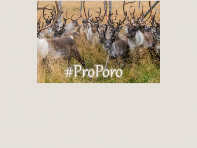 proporo.fi snapshot