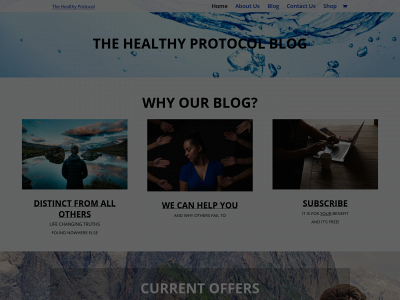 thehealthyprotocolblog.com snapshot