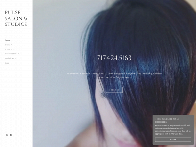 www.pulse.salon snapshot