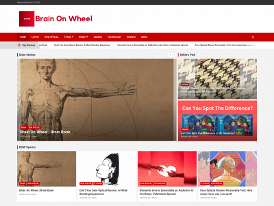 brainonwheel.com snapshot