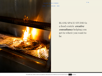 theblankspacestudio.dk snapshot