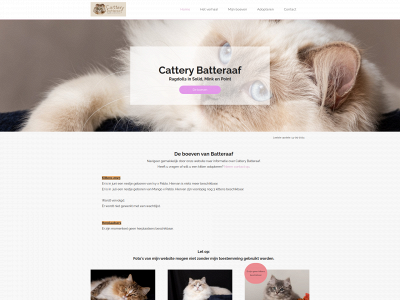 cattery-batteraaf.nl snapshot