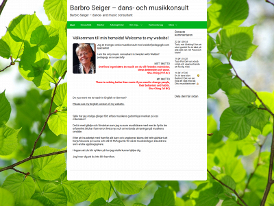 barbro-seiger-dans-och-musikkonsult.se snapshot