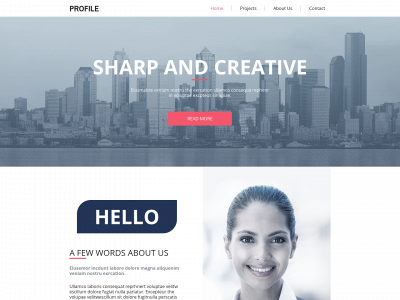 shreeji.dk snapshot