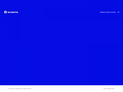 serenesignalstudio.com snapshot
