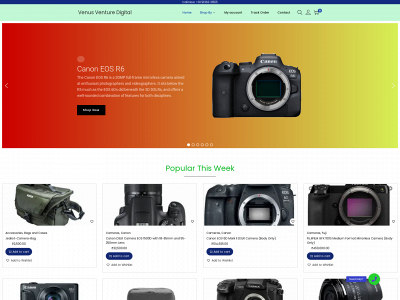 venusventuredigital.com snapshot