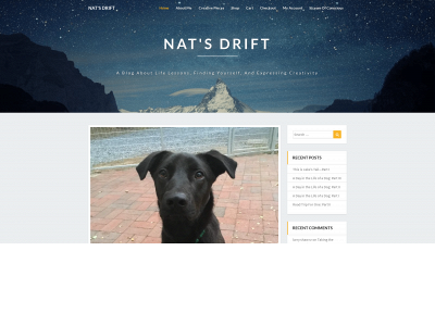 natsdrift.com snapshot