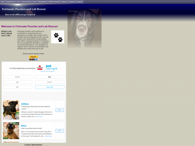 www.fortunatelabrescue.org snapshot