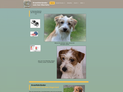 kromfohrlaender-vom-gut-oberlehn.de snapshot