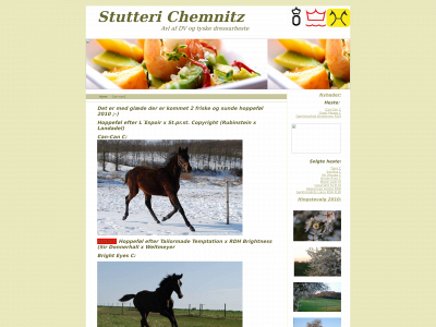 stutteri-chemnitz.dk snapshot