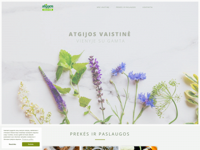 atgijosvaistine.lt snapshot