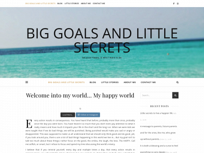 biggoalsandlittlesecrets.com snapshot