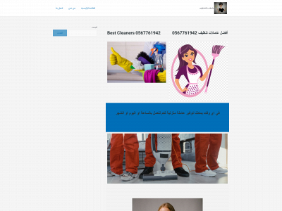 faster-cleaners.com snapshot