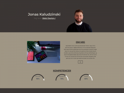 kaludzinski.dk snapshot
