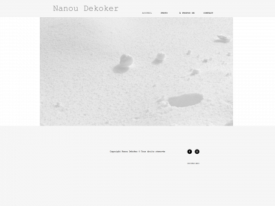 nanoudekoker.be snapshot