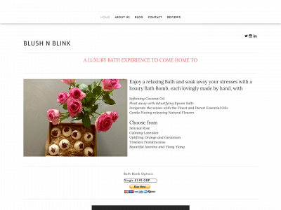 blushnblink.weebly.com snapshot