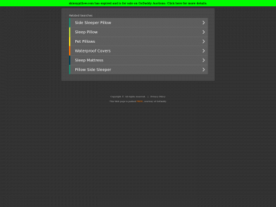 skinnypillow.com snapshot