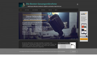 diebestengesangsmikrofone.de snapshot